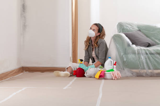 Reliable Mold Removal contractor in Hurst, TX by WQB Mold Removal